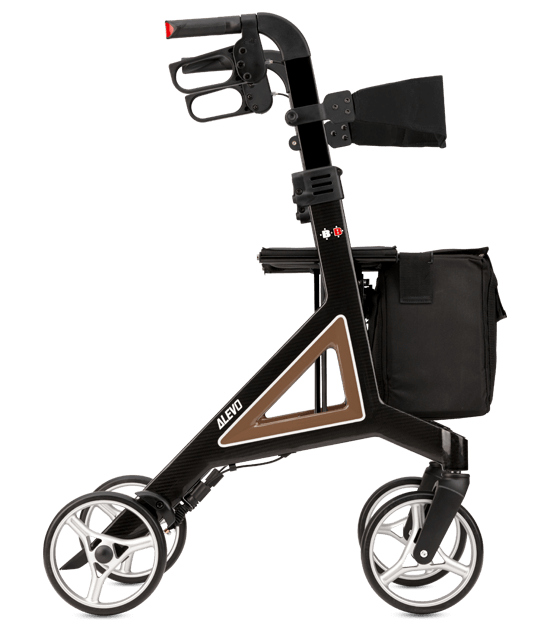 Alevo Carbon 02 557×624